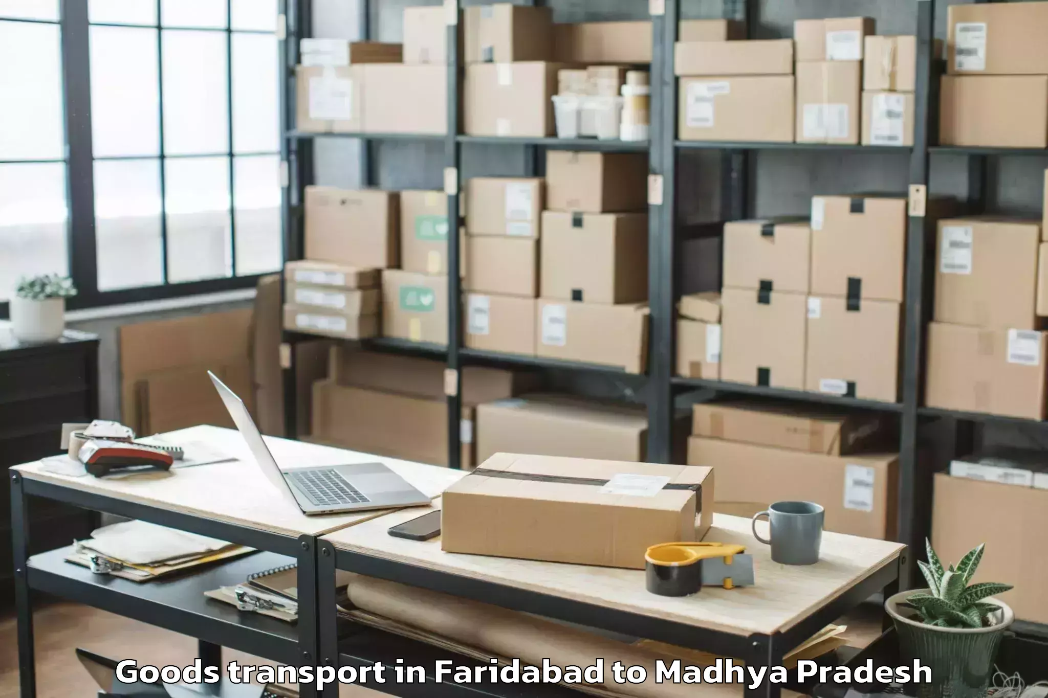 Quality Faridabad to Rewa Airport Rew Goods Transport